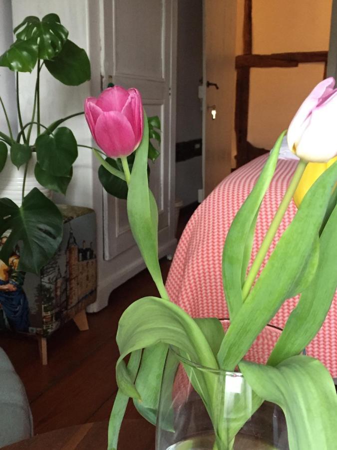Puurteuven B&B Tussen Kunst En Natuur フーレン エクステリア 写真